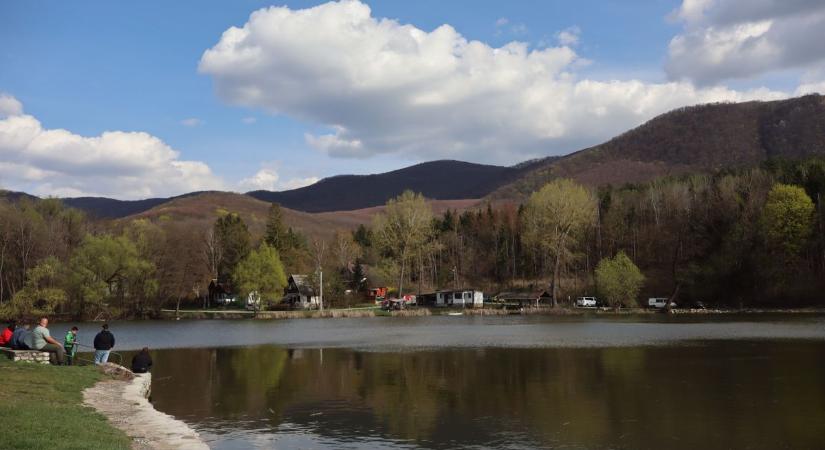 Rengeteg kétéltű lepte el az egyik hevesi település környékét – már hálót is felhúztak miattuk  Fotók