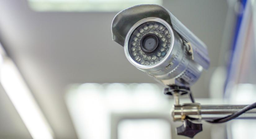 Kamerákkal vadásszák le a gazdák nagy ellenségét: véget érhet a rémálom