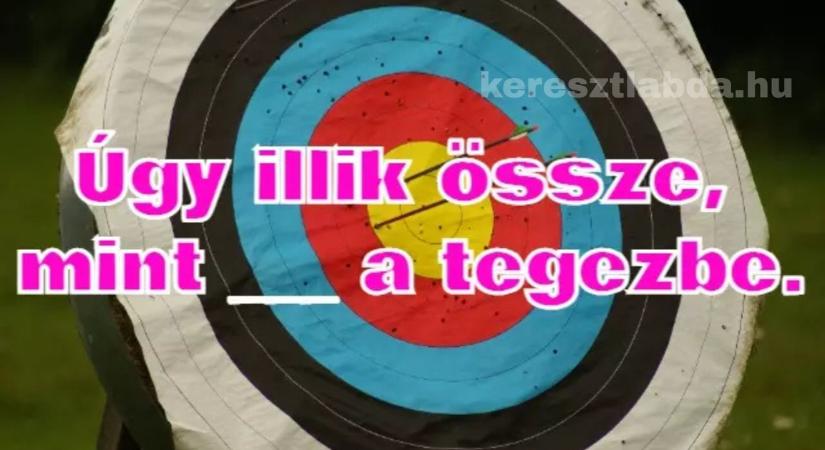 Napi közmondás feladat: Úgy illik össze, mint _ a tegezbe – tudod a szót?