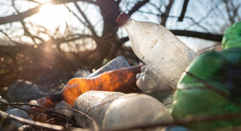 Ezzel az alkalmazással percek alatt lebuktathatják a szemetelőket: egyre több magyar használja