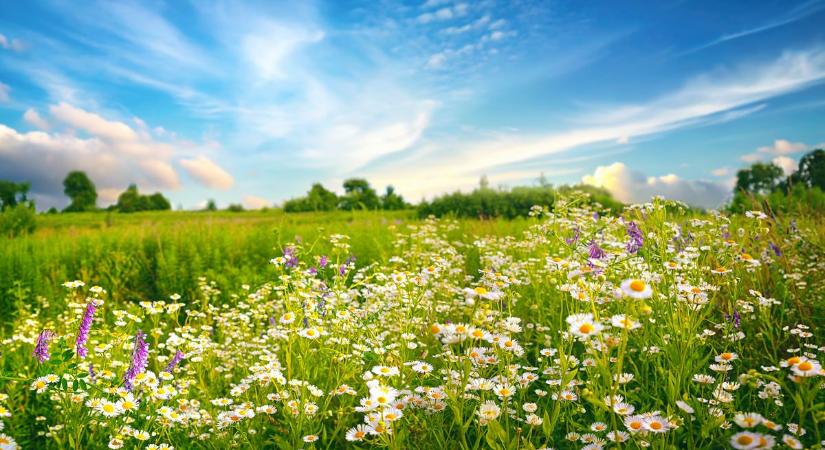 Változékony tavaszi napok várnak ránk a héten
