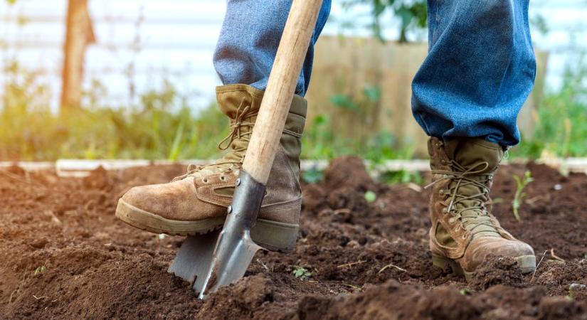 Kész a mesterterv, ide kell elásni az aranyat