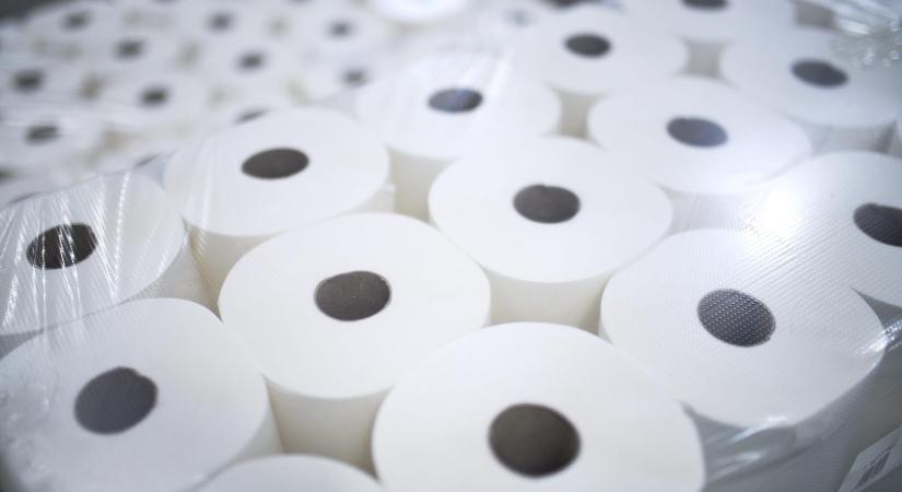 Megkezdődött a Vajda-Papír Csoport történetének legnagyobb, 40 milliárd forintos beruházási programja