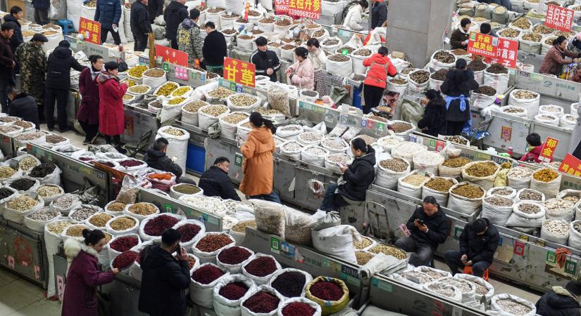 Új korszak köszönthet be a hagyományos kínai orvoslás történetében