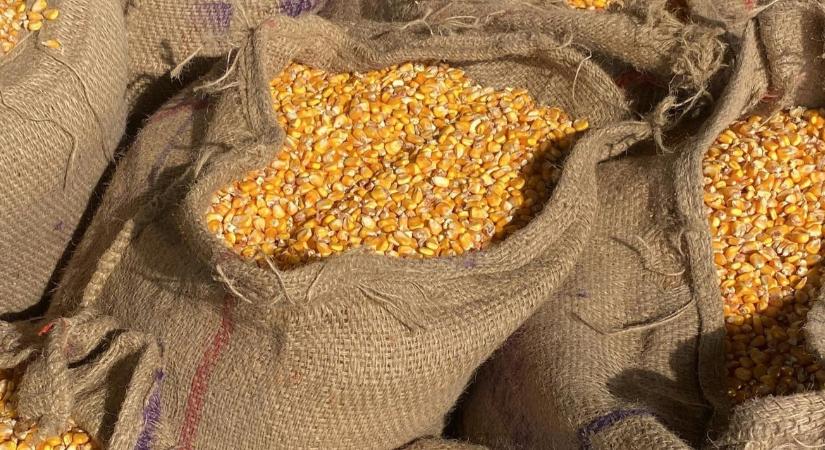 Felezik a járvány okozta veszteséget: gyorssegély érkezik ebbe az ágazatba