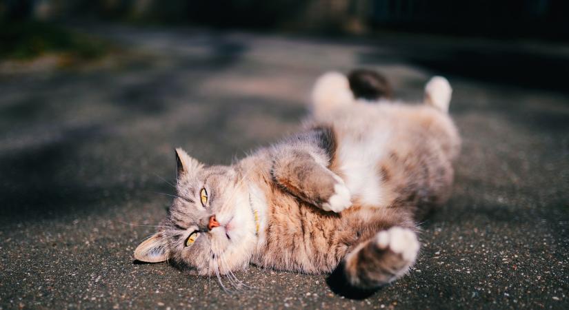 Bolygóállások most: ez a szenvedélyek időszaka