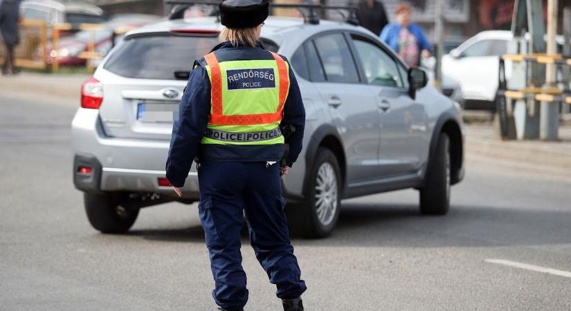 Halálos baleset és homoki vipera – kemény időszak áll mögöttünk