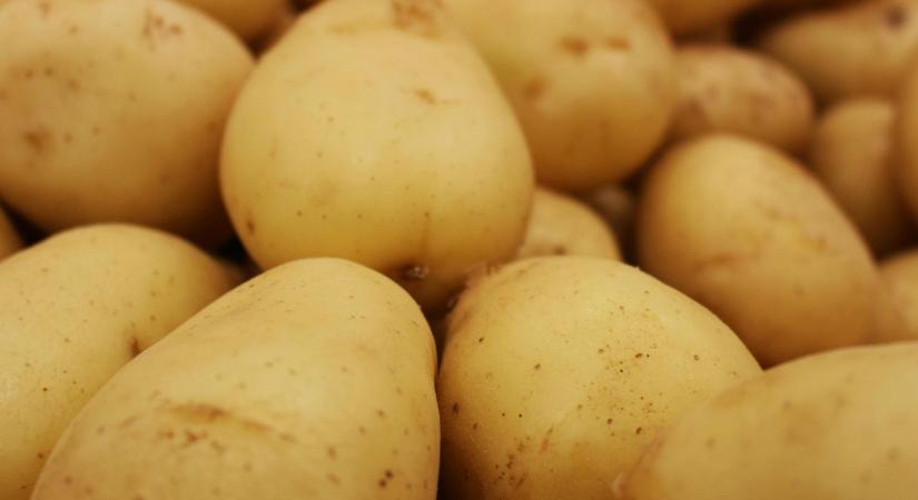 Így neveld a krumplid! Minden, amit a bőséges terméshez tudni kell