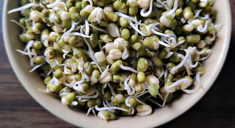 Így csíráztass otthon: soha többet nem kell konzervet venned ezután