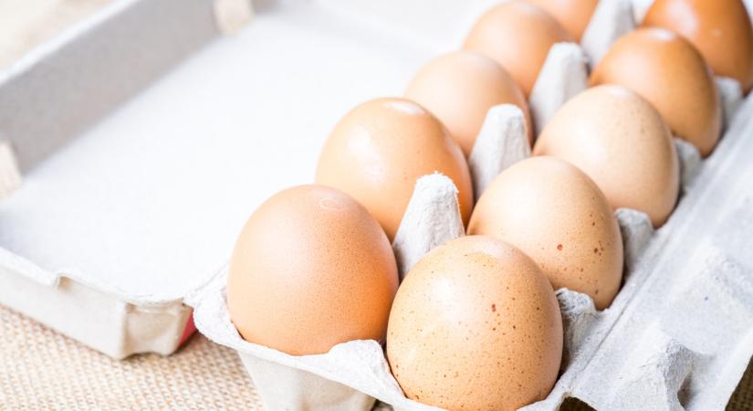 Ilyen tojást fogunk enni a jövőben? Jobb, ha felkészülünk, mi várhat ránk