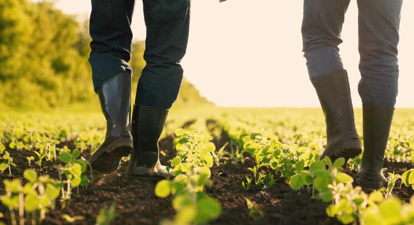 Megtelt a 150 négyzetméteres tisztás, nagyobb biztonságba kerültek az apróvadak