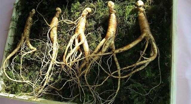 A koreai identitás két alappillére is felkerülhet az UNESCO világörökségi listájára