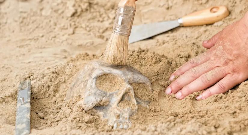 A talaj és az emberi eredet titkai