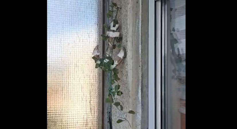 Szeles Húsvéthétfő: több térségre is figyelmeztetést adtak ki (videóval)