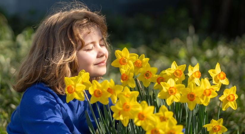 Szép, de veszélyes: ezek a növények akár mérgezőek is lehetnek a kertedben