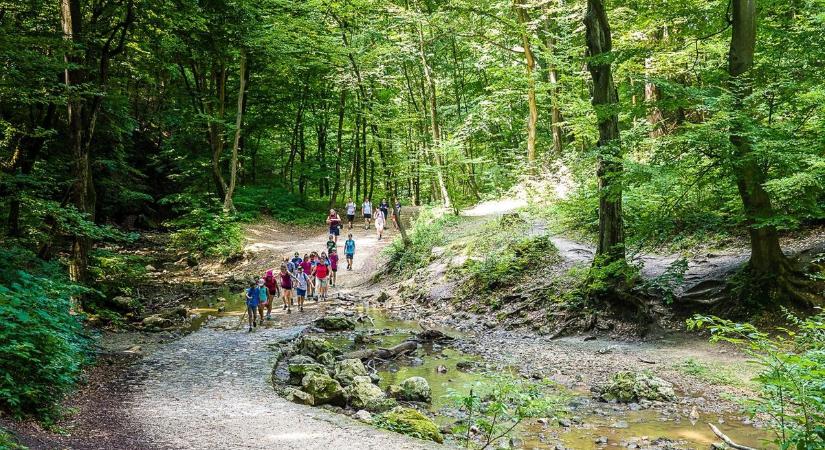 Kirándulás családdal a tavaszi szünetben: 4 remek célpont Veszprém megyében
