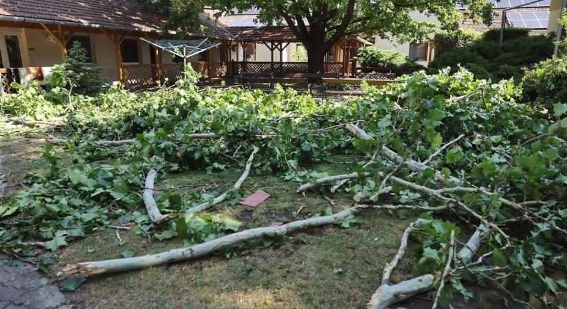 Brutális szelet mértek Atkáron – még a kutyát is "lesegíti" a lépcsőn az ereje