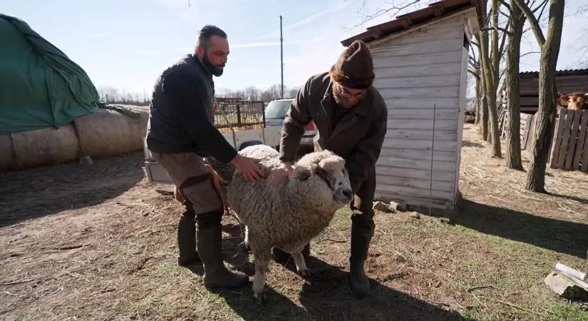 A tanyasi életet is lehet tanítani: Sipos Mihály bárkiből gazdát nevel