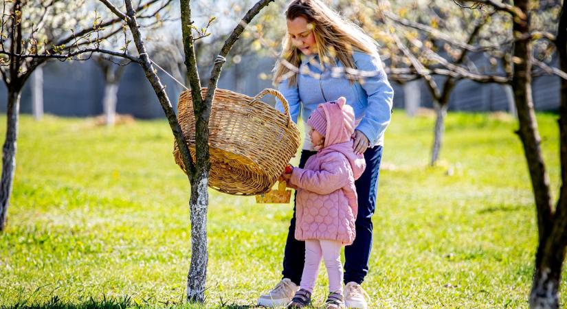 Vajon mit keresett Bing nyuszi egy újcsanálosi traktoron? Ilyen az, amikor a falusi húsvét túlszárnyalja a meséket - fotókkal, videóval