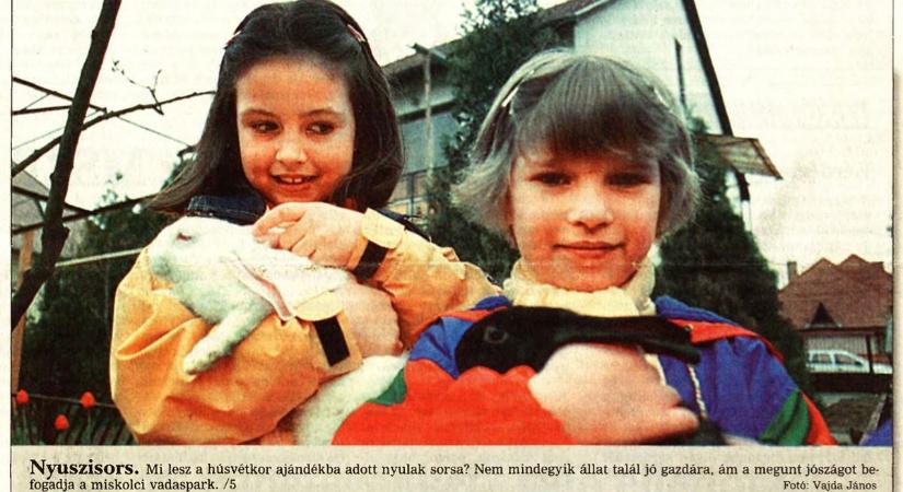 Tojás, kölni, nyuszi: így zajlott egy igazi húsvéti készülődés Borsodban - meglepő részletek