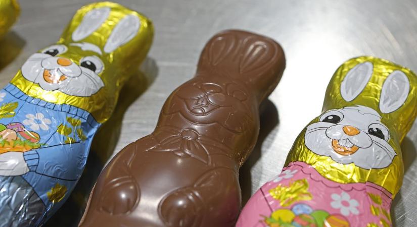 A húsvéti csokinyuszi titka: finom, de milyen árat fizet érte a bolygó?
