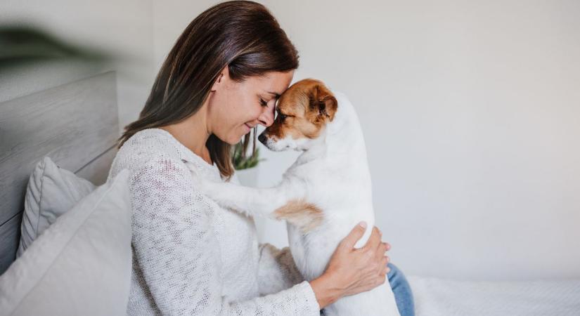 8 dolog, amit a kutyád imád benned – még akkor is, ha észre sem veszed