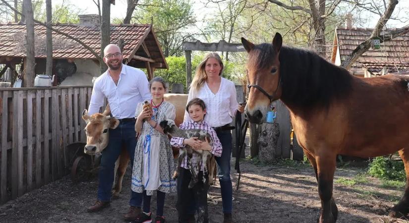 A mi történetünk: Sipos Mihály bárkiből gazdát nevel