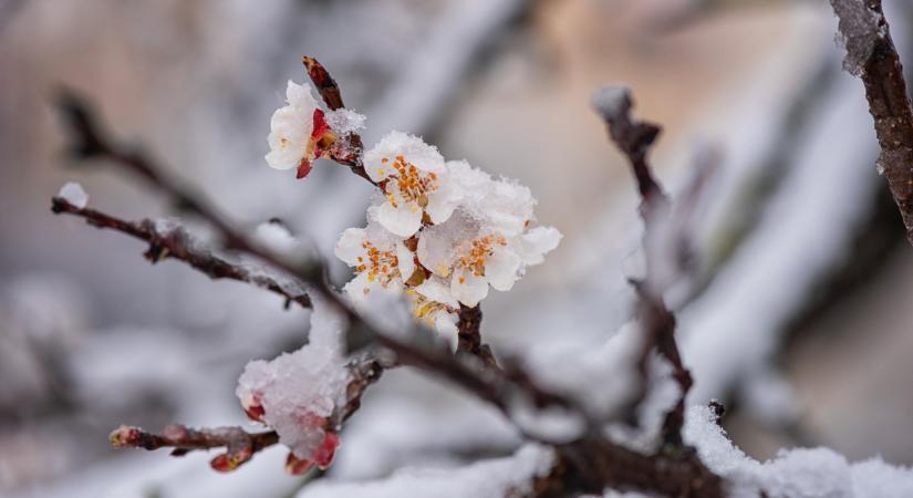 Visszatérhet a tél Magyarországra: erre jobb lesz, ha felkészülünk