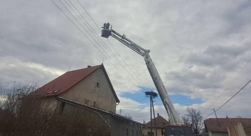 Dráma a magasban: emelődarus egység sietett a különleges bajbajutott segítségére