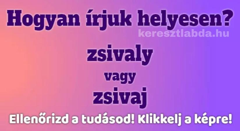 Napi helyesírás feladat: Zsivaj vagy zsivaly? A j és ly örök csatája!