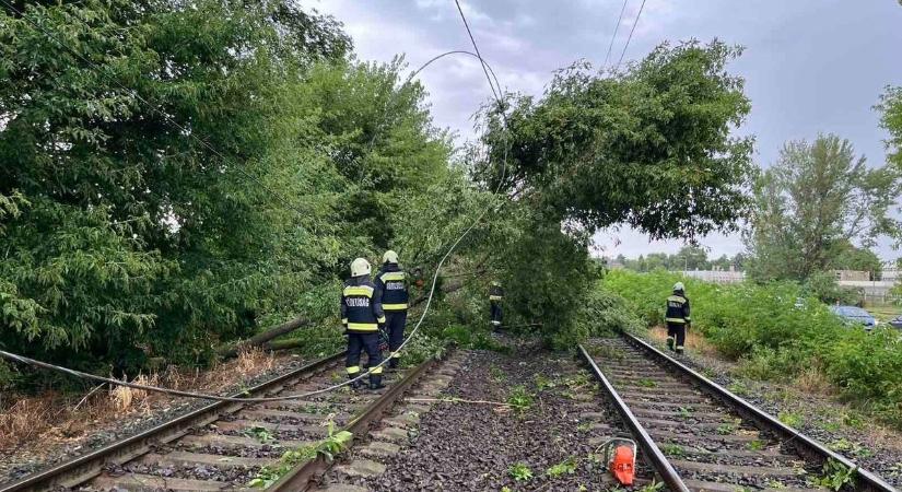 Kidőlt fa bénította meg a vasutat Hevesben