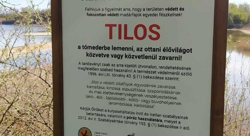 A tiltás ellenére sokan mennek le a Téglagyári tavak zátonyaira