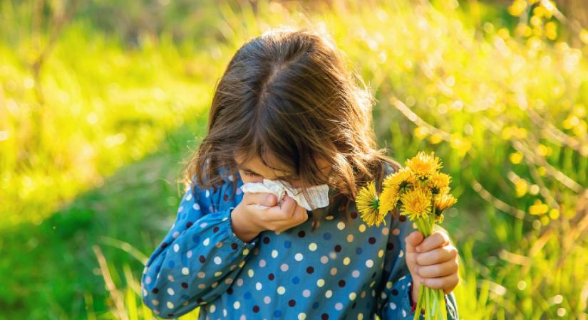 Apró jelek, ami mindent eldöntenek: allergia vagy nátha a gyereknél?