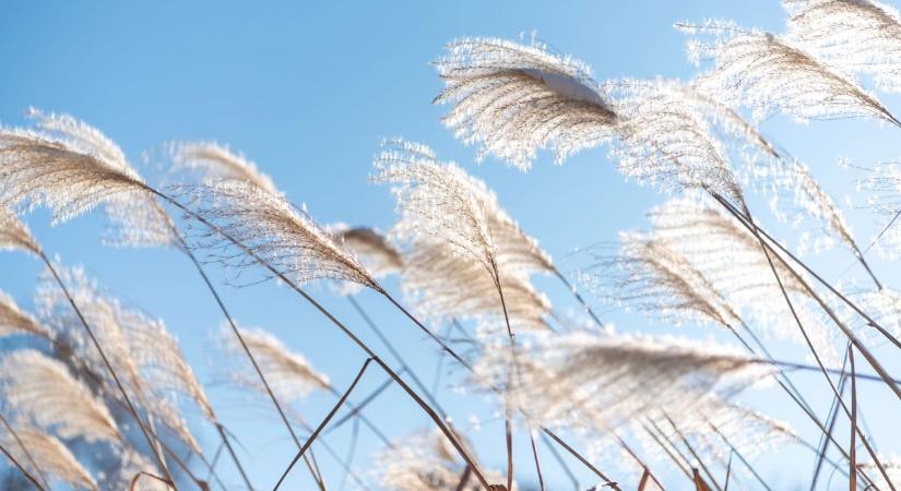 Húsvét után vajon megnyugszik az idő, vagy csak átmeneti a csend? Megnéztük!