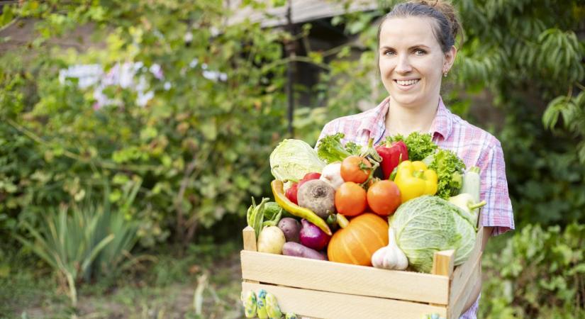 3 növény, amit soha ne ültess a veteményesben ugyanarra a helyre minden évben
