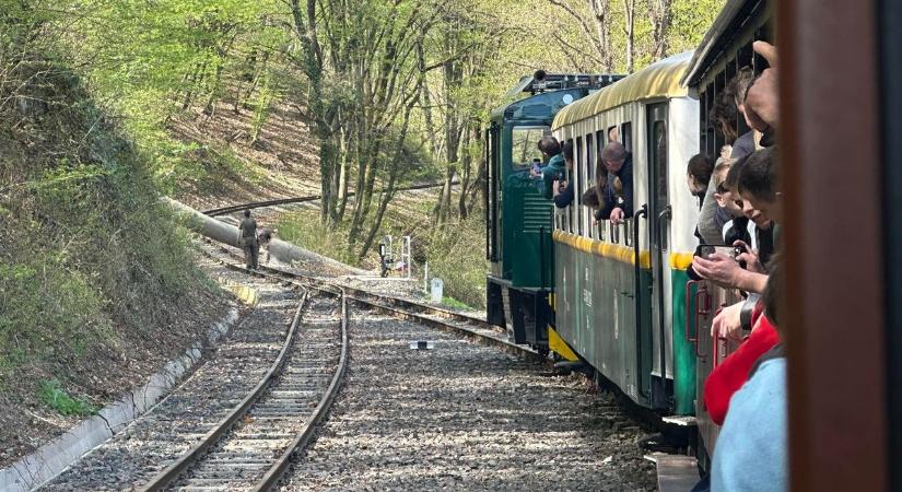 Kidőlt fa állította meg a lillafüredi kisvonatot - nagy szerencséjük volt az utasoknak
