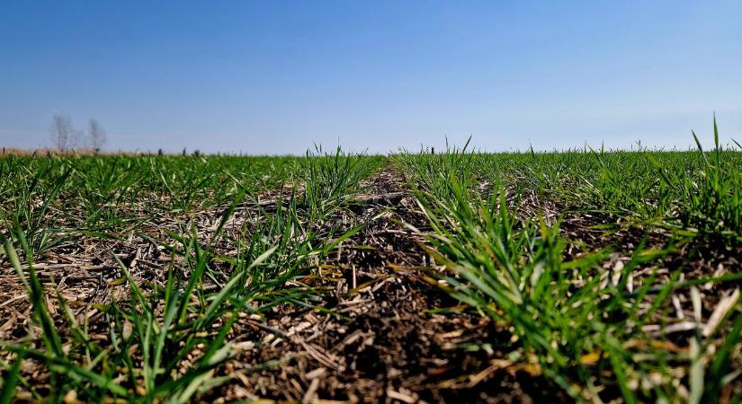 Talajstratégiák IV. – Fizikai degradáció