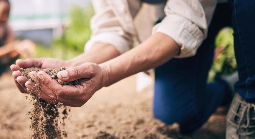 Egyre nagyobb a baj, 100 milliméter csapadék hiányzik Tolnában