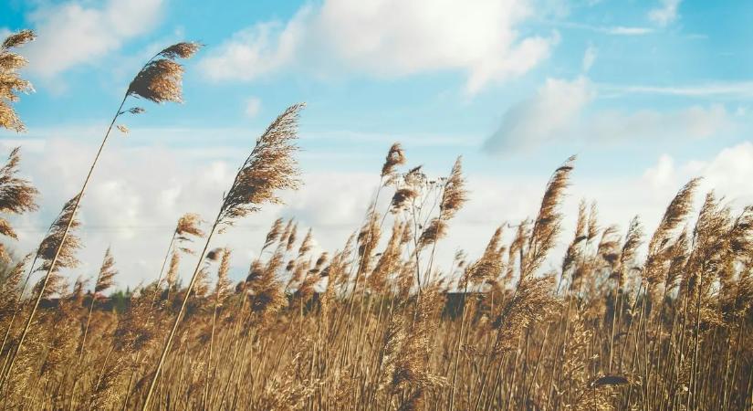 Nagy fordulat jön az időjárásban – mi szóltunk!