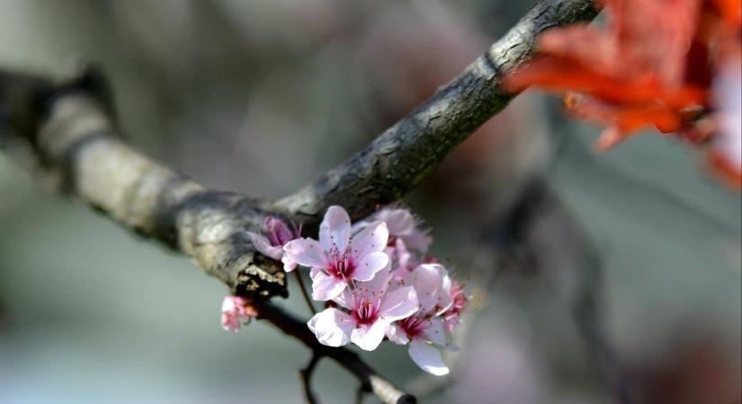 Ragyogó napsütés várható erős széllel