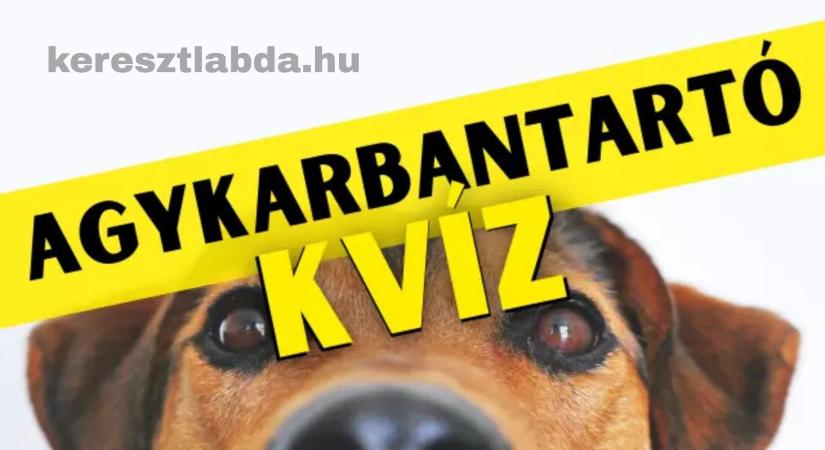 Napi agykarbantartó feladat: Megtalálod a különbséget a kutyákon? Csak a sasszeműek látják!