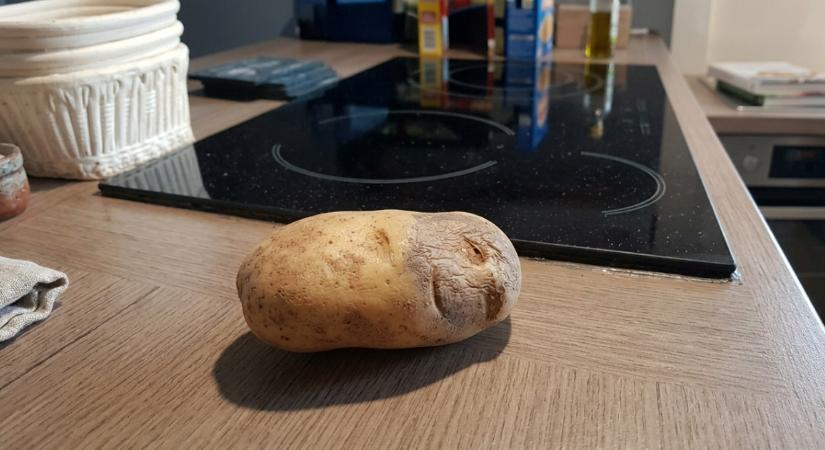 Megszületett az Év játéka, jön a Krumpli Szimulátor Steamre