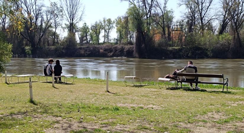 Ilyen most tavasszal Makó egyik legszebb része: fél óra a Maros-parton, és teljesen kikapcsolsz