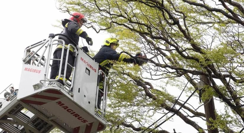 Megint erős szél tépheti hajunkat – fagy is lehet a héten