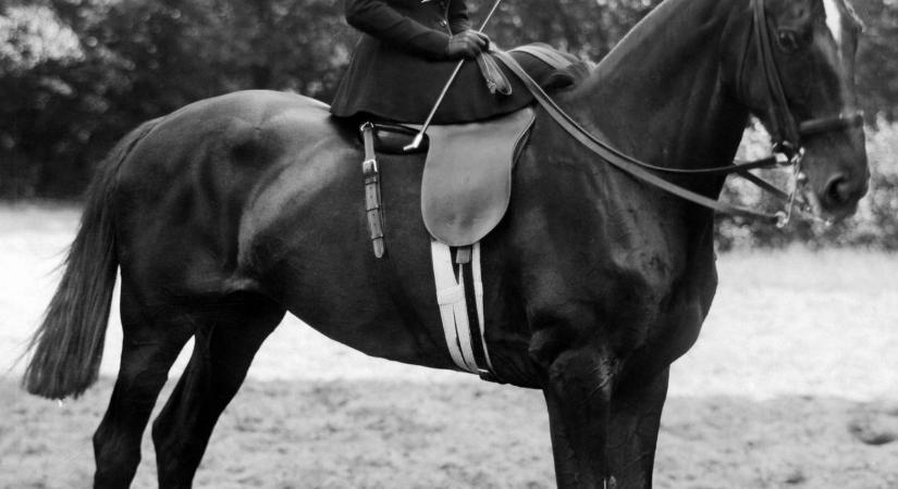 Ennek a magyar kémnek valójában semmi köze nem volt hazánkhoz