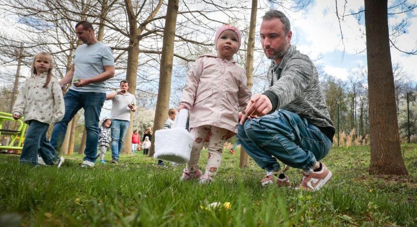 Tojáskeresés volt Jákon is