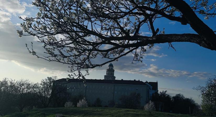 Pannonhalma és Ravazdi Róka Teljesítménytúra