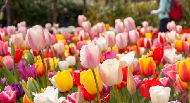 Ennek az időjárásnak nem fog örülni a héten - Időjárás-előrejelzés keddre