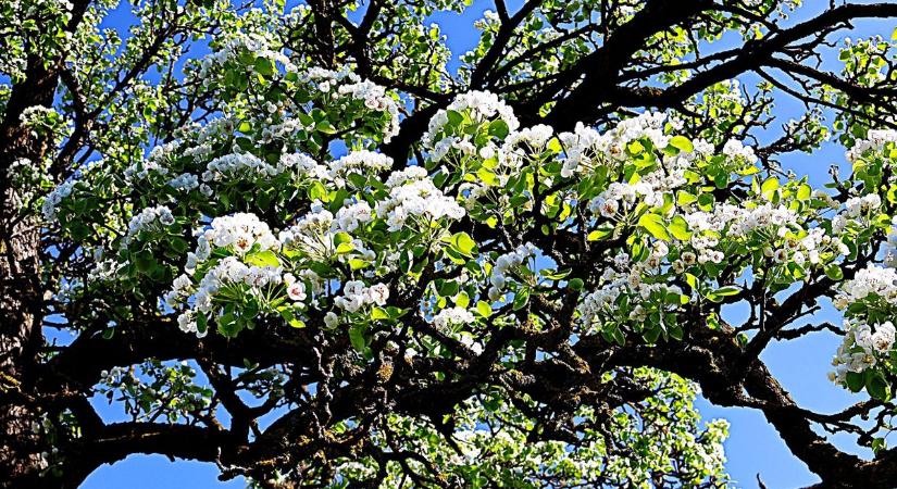 Ragyogó napsütés vár ránk kedden, de van egy zavaró tényező, amivel jobb ha mindenki számol!