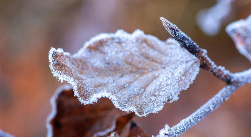 Időjárás: Fagy, zápor, erős szél, mindenből jut a következő napokban